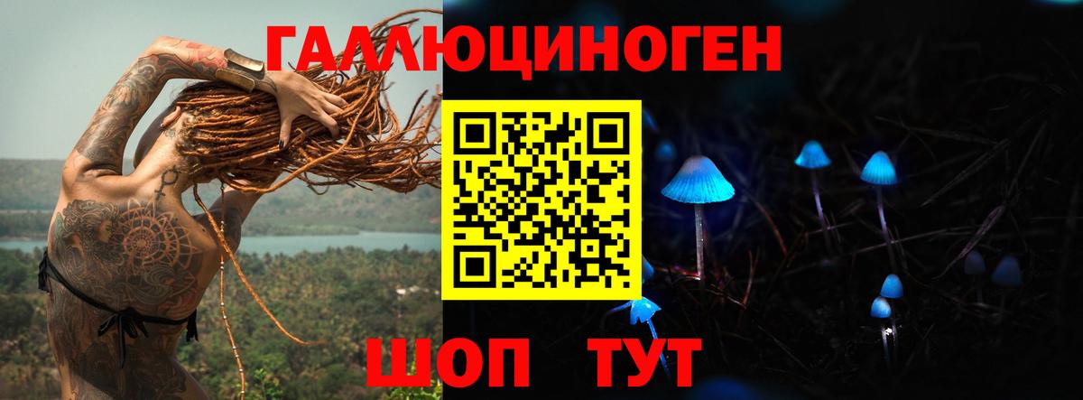 где можно купить   Галлюциногенные грибы Cubensis  Вход с VPN  Псилоцибиновые грибы GOLDEN TEACHER  Лениногорск 